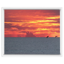 Load image into Gallery viewer, Pelicans At Sunrise Framed Canvas Wrap

