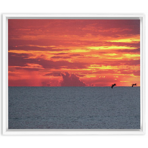 Pelicans At Sunrise Framed Canvas Wrap